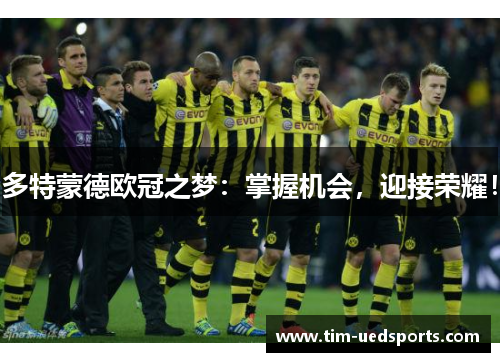 多特蒙德欧冠之梦：掌握机会，迎接荣耀！